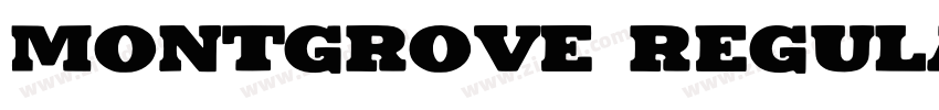 Montgrove Regular字体转换